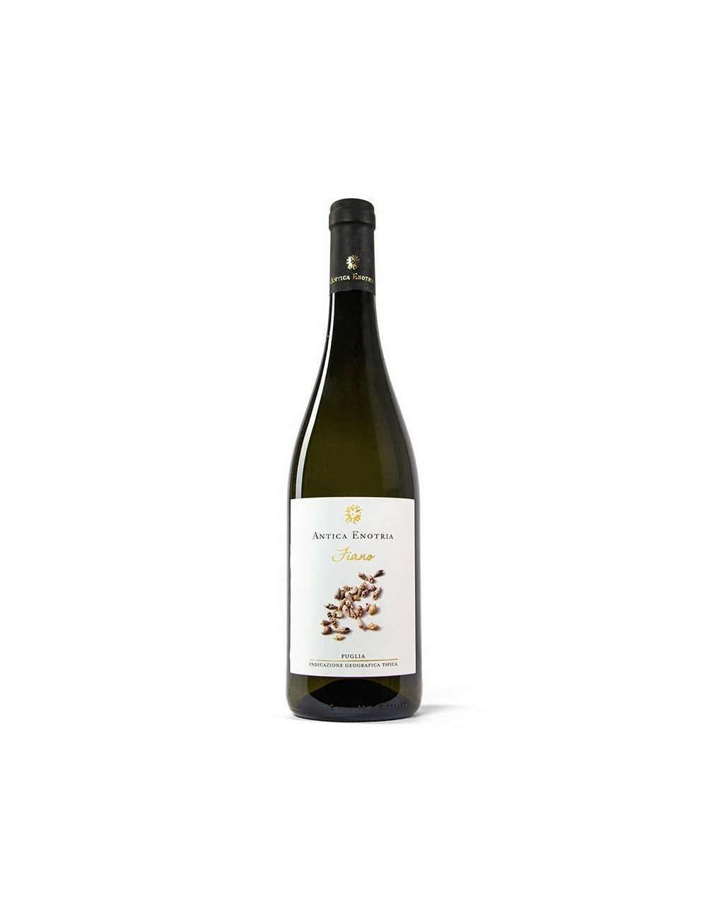 Antica Enotria FIANO Puglia IGT